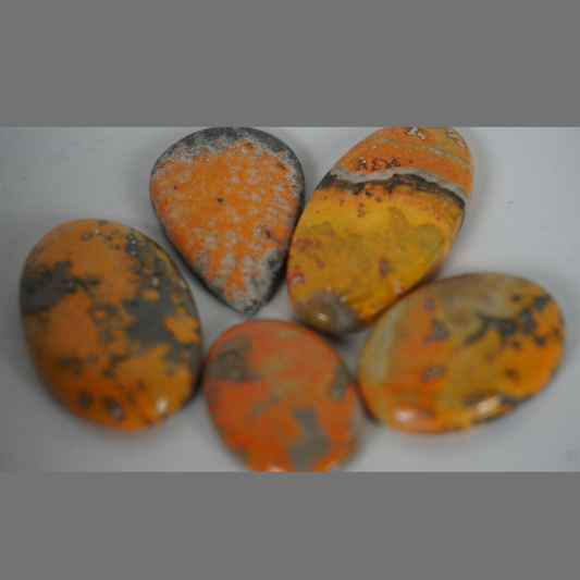 Bumble bee jasper cabochons