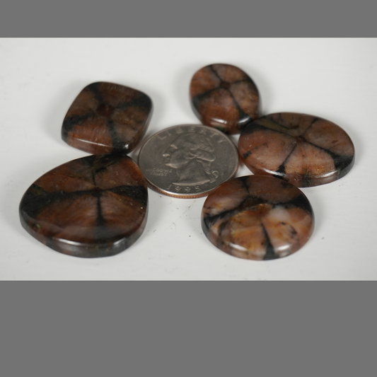 Chiastolite cabochons