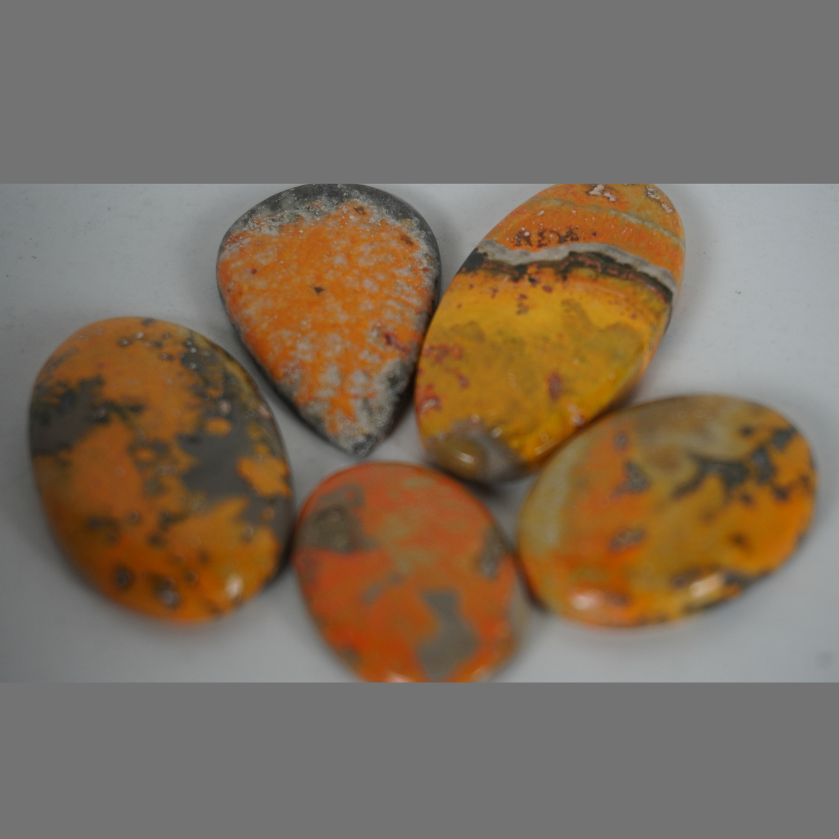 Bumble bee jasper cabochons