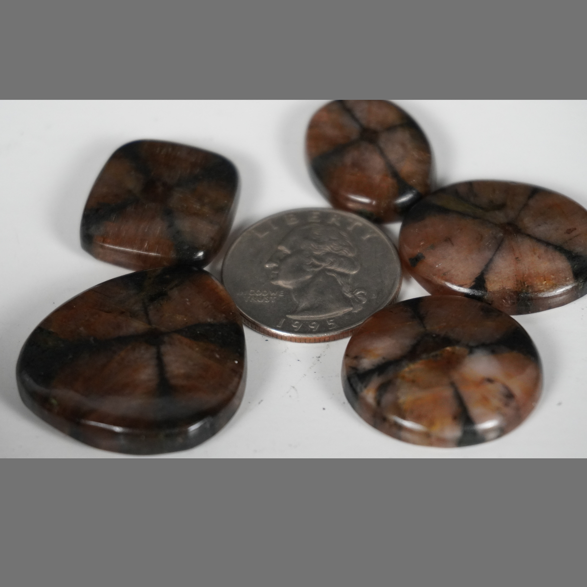 Chiastolite cabochons