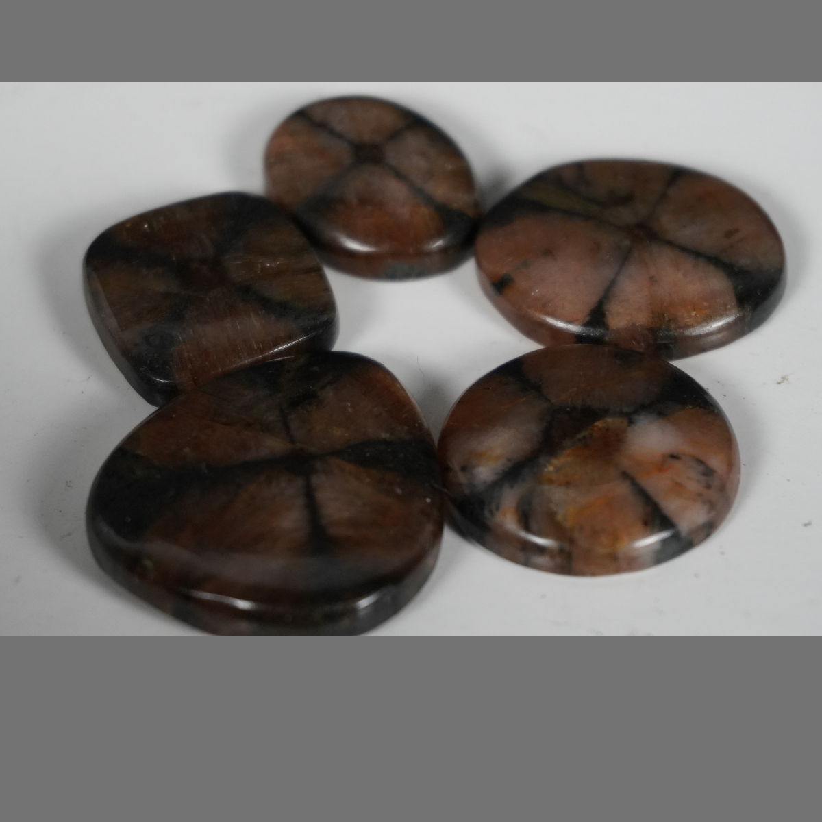 Chiastolite cabochons