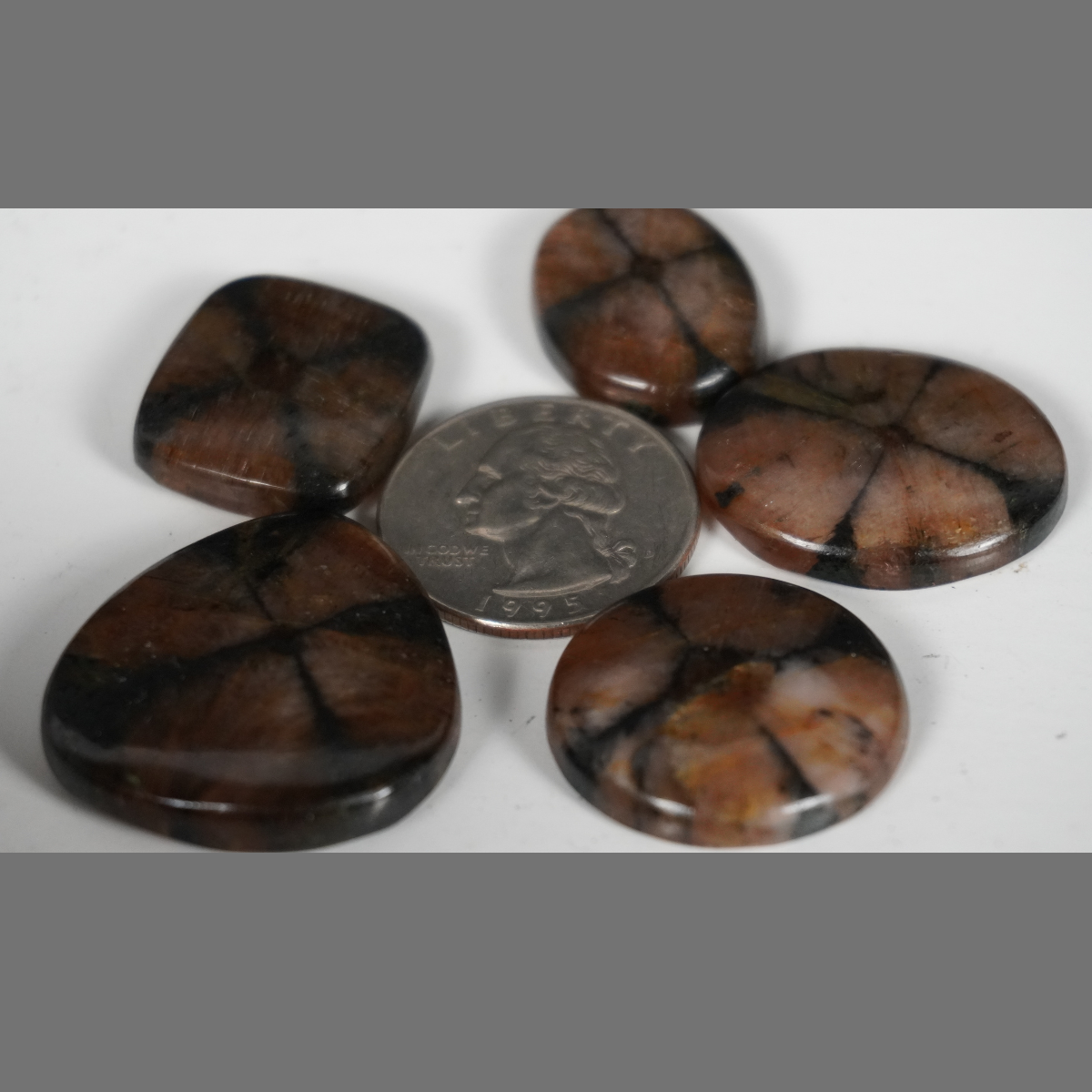 Chiastolite cabochons