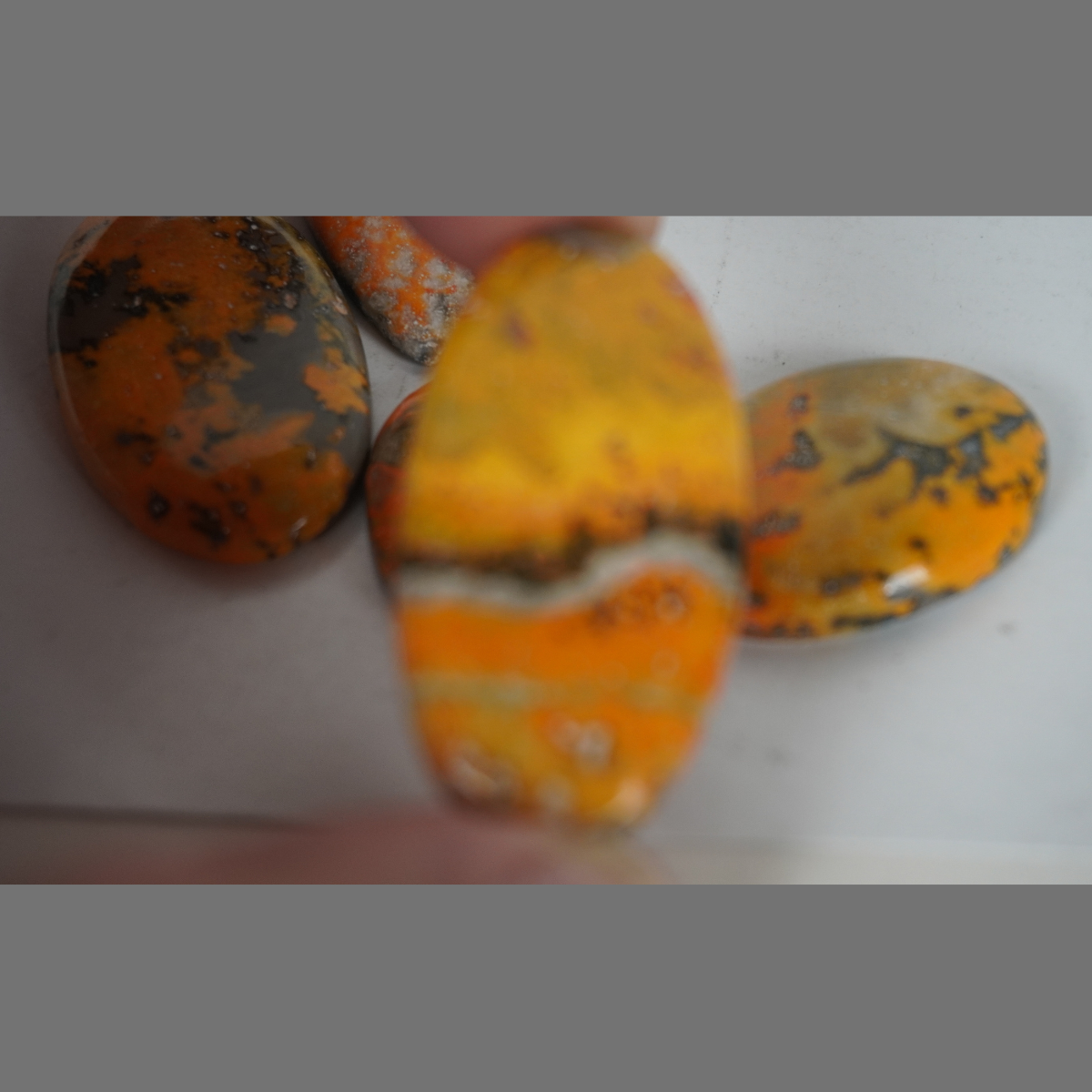 Bumble bee jasper cabochons