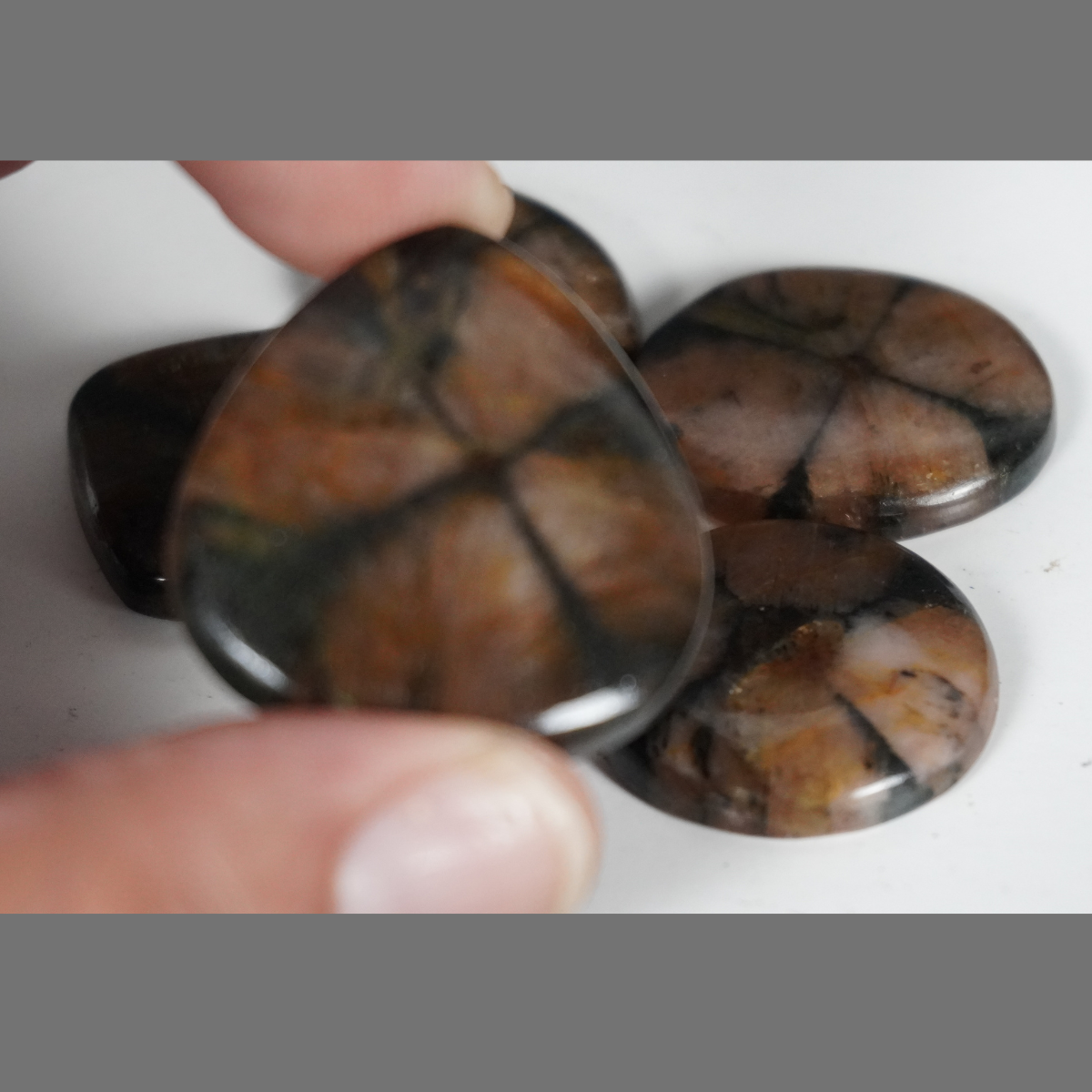 Chiastolite cabochons