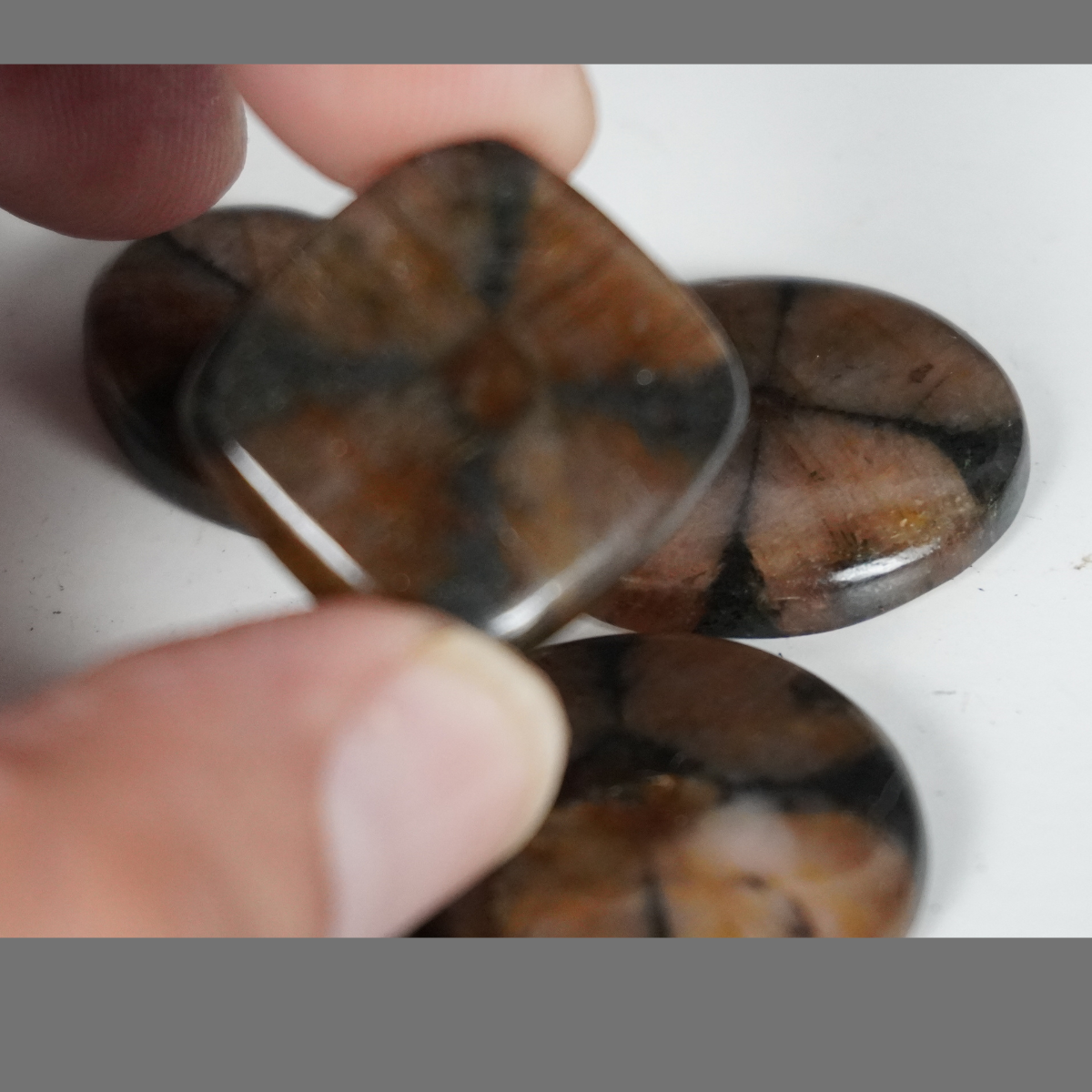Chiastolite cabochons