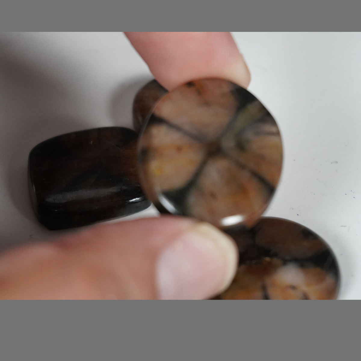 Chiastolite cabochons