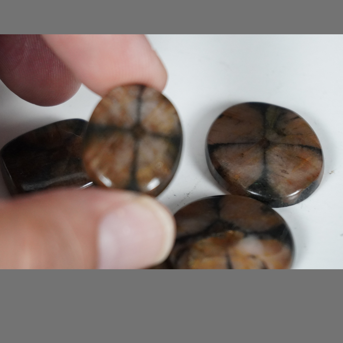 Chiastolite cabochons